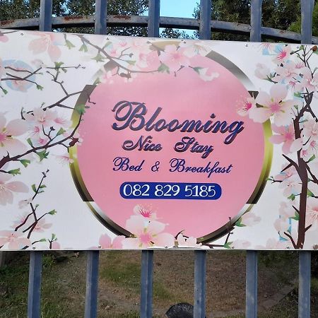Blooming Nice Stay Харисмит Екстериор снимка